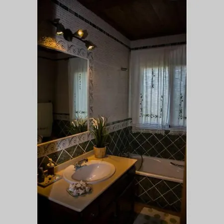 Teresa Holiday home Malaga